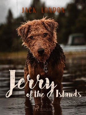 cover image of Jerry of the Islands